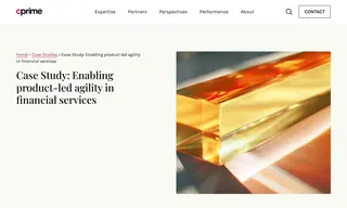 Preview of the Leading Financial Services Firm Case Study