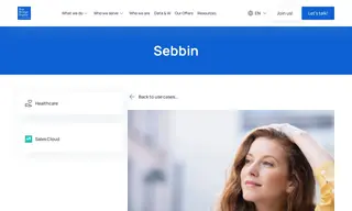 Preview of the Sebbin Case Study