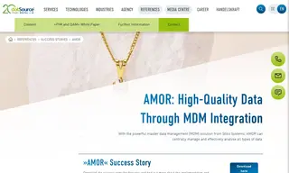Preview of the AMOR GmbH Case Study