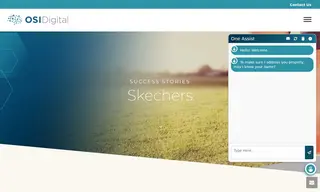 Preview of the Skechers Case Study
