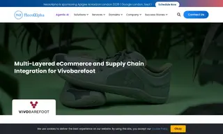 Preview of the VIVOBAREFOOT Case Study