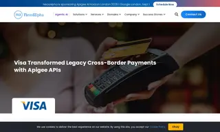 Preview of the Visa Case Study