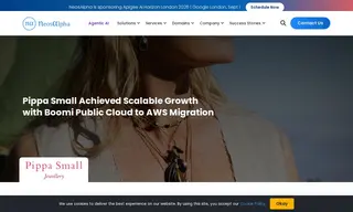 Preview of the Pippa Small Case Study