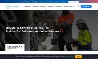 Preview of the Servomex Case Study