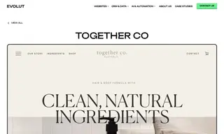 Preview of the Together Co Case Study