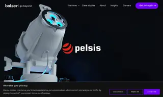 Preview of the Pelsis Case Study