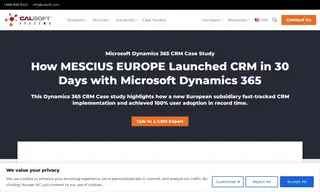Preview of the Mescius Europe GmbH Case Study