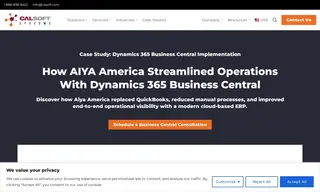 Preview of the Aiya America Inc Case Study