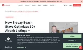 Preview of the Breezy Beach Stays Case Study