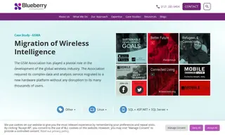 Preview of the GSMA Case Study