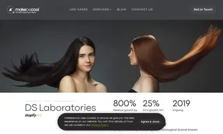 Preview of the DS Laboratories Case Study