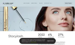 Preview of the StacyLash Case Study