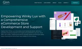 Preview of the Winky Lux Case Study
