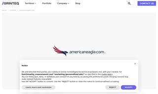 Preview of the Americaneagle.com Case Study