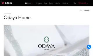 Preview of the Odaya Case Study