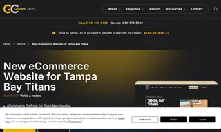 Preview of the Tampa Bay Titans Case Study