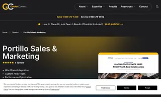 Preview of the Portillo Sales and Marketing Case Study
