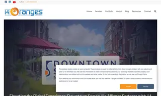 Preview of the Downtown Somerville Alliance (dsa) Case Study