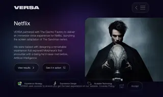 Preview of the Netflix Case Study