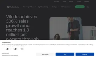 Preview of the Vileda Case Study