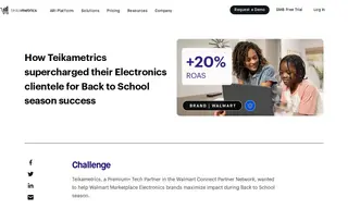 Preview of the Walmart Marketplace Electronics Brands Case Study
