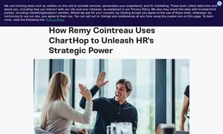Preview of the Rémy Cointreau Case Study
