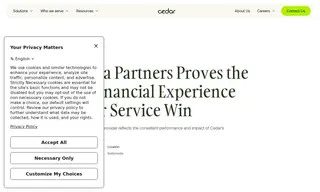 Preview of the U.S. Anesthesia Partners (usap) Case Study