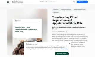 Preview of the King City Veterinary Clinic Case Study