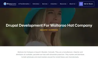 Preview of the Wallaroo Hat Company Case Study