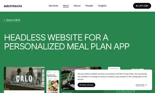 Preview of the Calo Inc Case Study