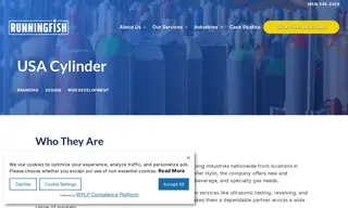 Preview of the USA Cylinder Case Study