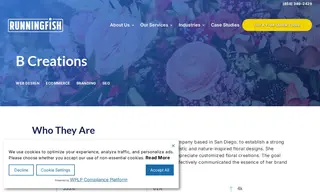Preview of the B Creations Case Study