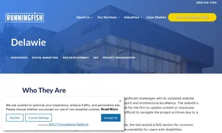 Preview of the Delawie Case Study