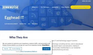 Preview of the Egghead IT Case Study