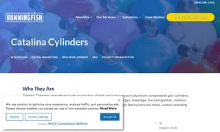 Preview of the Catalina Cylinders Case Study