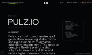 Preview of the Pulz.io Case Study