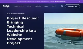 Preview of the Global Consulting Firm Case Study