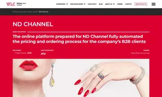 Preview of the ND Channel Case Study