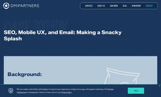 Preview of the Healthy Snacking Company Case Study