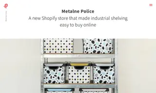 Preview of the Metalne Police Case Study