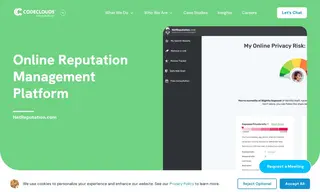 Preview of the NetReputation.com Case Study