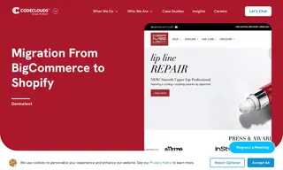 Preview of the Dermelect Case Study