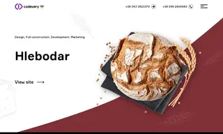 Preview of the Hlebodar Case Study