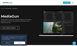 Preview of the MediaGun Case Study