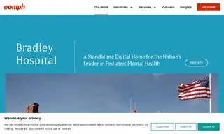 Preview of the Bradley Hospital Case Study