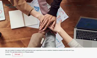 Preview of the rhino Case Study