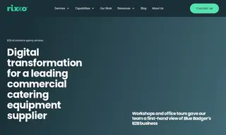 Preview of the Blue Badger Case Study