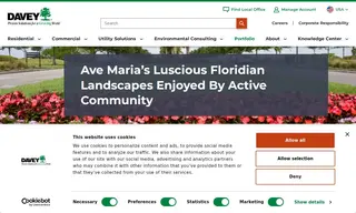 Preview of the Ave Maria Case Study