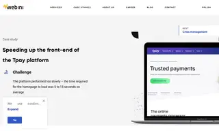Preview of the Tpay Case Study