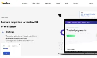 Preview of the Tpay Case Study